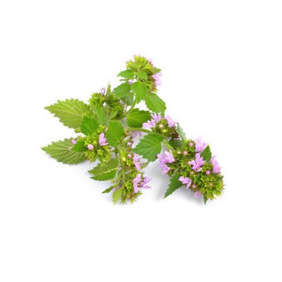 Aceite esencial Melisa