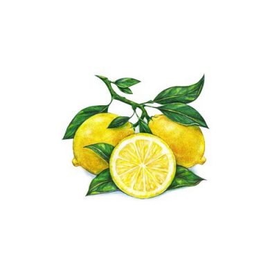 Aceite esencial de Limón BiO 10ml