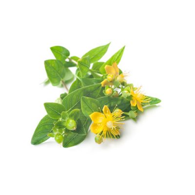 Aceite esencial Hipérico Bio 2,5ml