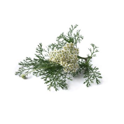 Aceite esencial de Milenrama 5ml