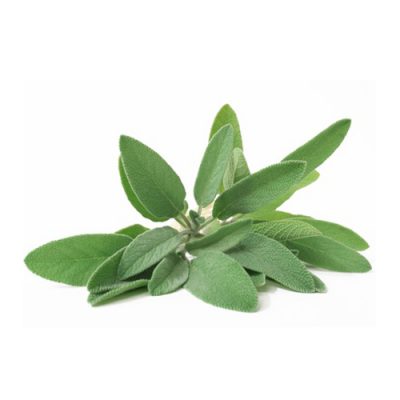 Aceite esencial de Salvia romana Bio 10ml - 5 ml