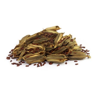 aceite esencial de sésamo bio