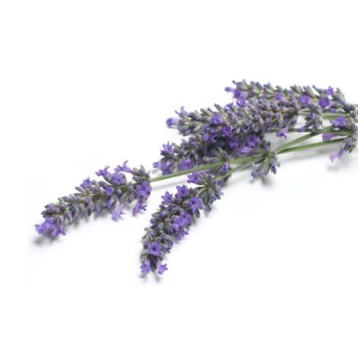 Aceite esencial Lavanda Vera Bio 10ml