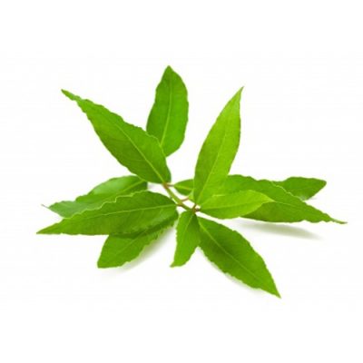 Aceite esencial de Laurel BiO 5ml