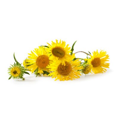 Aceite esencial Olivardilla Bio