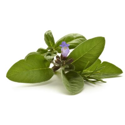 Aceite esencial de Salvia común BiO10ml