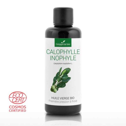 Aceite Vegetal de Calófilo (Tamanu) Orgánico y Vegano 100ml - Imagen 2