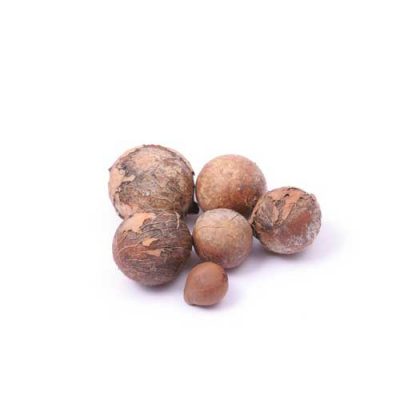 aceite-vegetal-semillas-de-tamanu