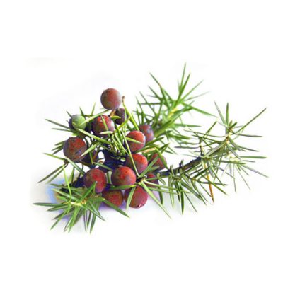Aceite esencial de Cedro de Virginia10ml
