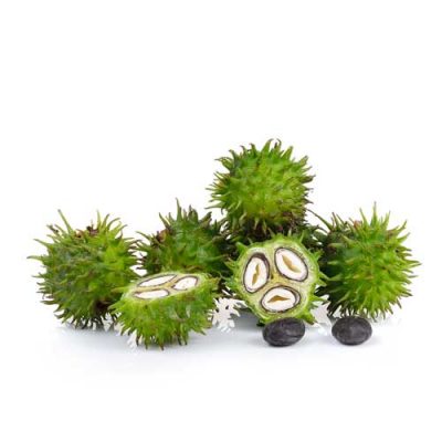 aceite vegetal de ricino bio y vegano 100% natural, virgen