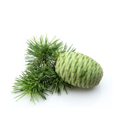 Aceite esencial de Cedro de Atlas Bio 10ml